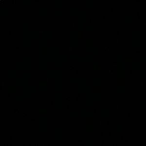 Meet your Posher, Breeah